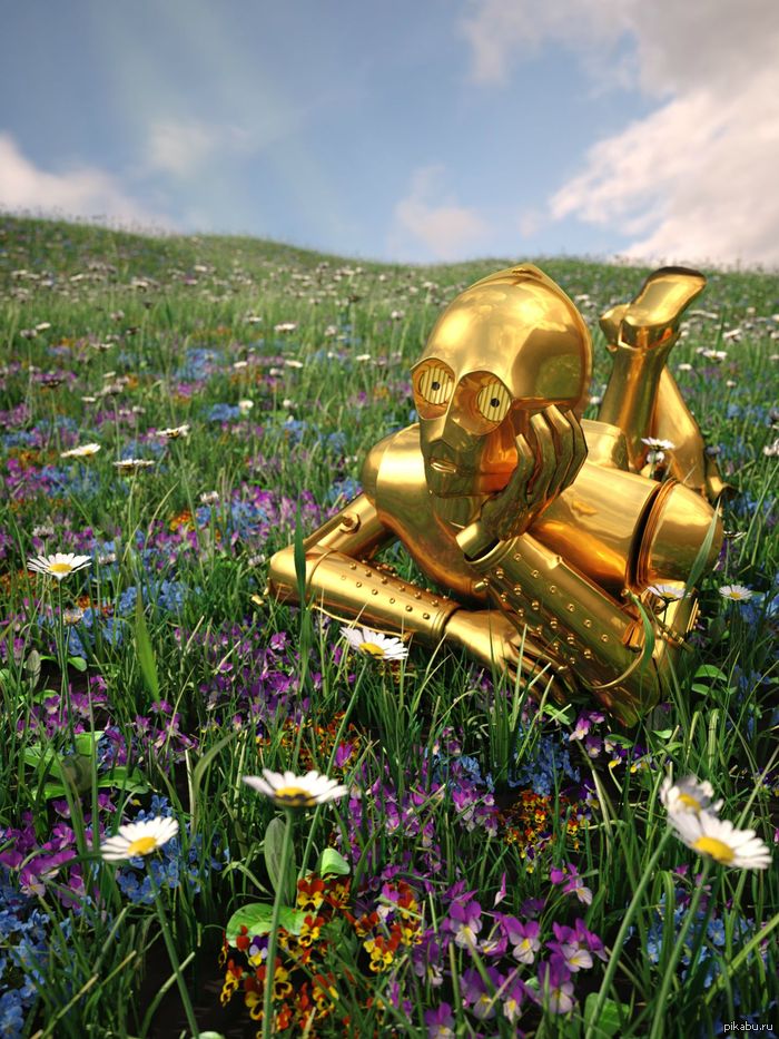 C-3PO  . 
