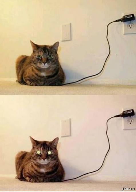 ������������� ��������� �������