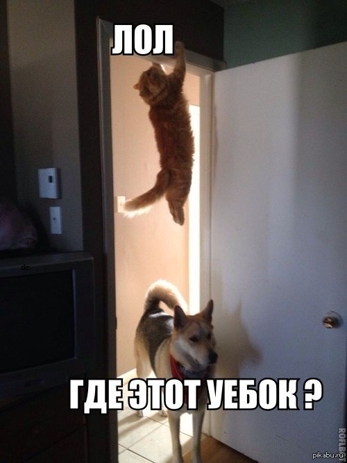 -)))