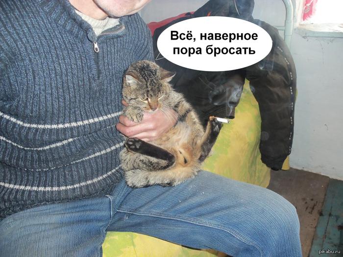 ��, �������� ���� �������