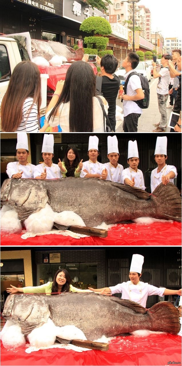 � ��� ������ ����.