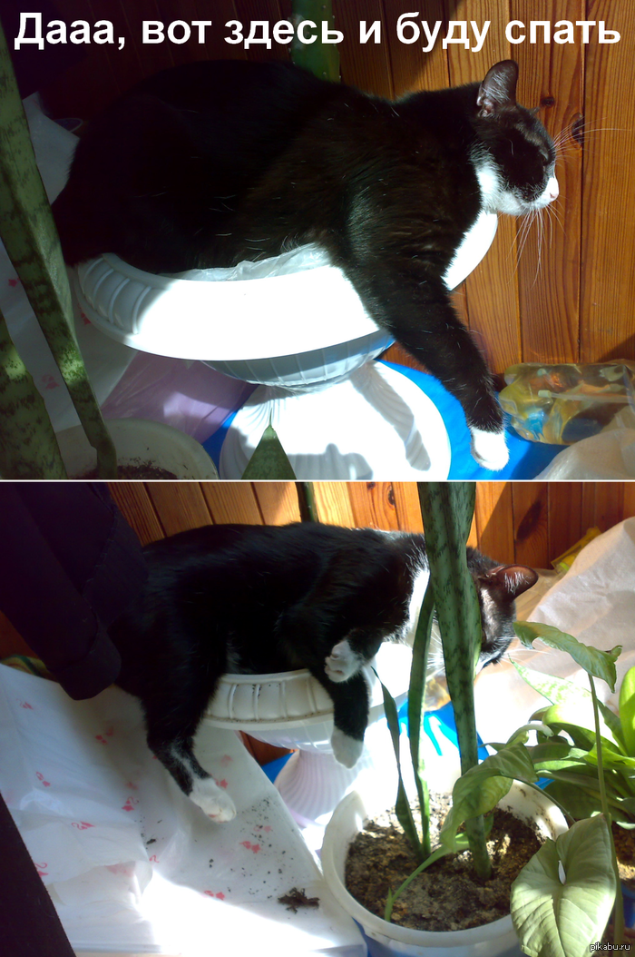 ������ ���������� �����...