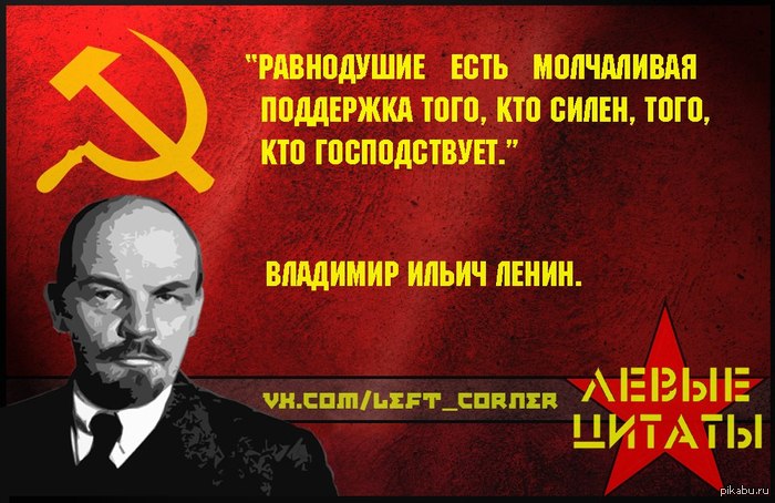    ( ) 