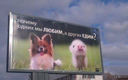 ���� �����������!