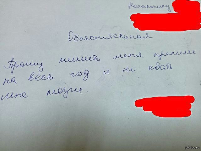 Объяснительная | Пикабу