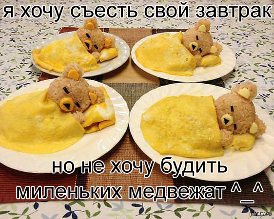 When cuteness is stronger than hunger - 9GAG, Breakfast, The Bears