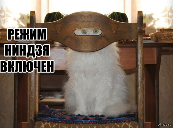 ����� ������