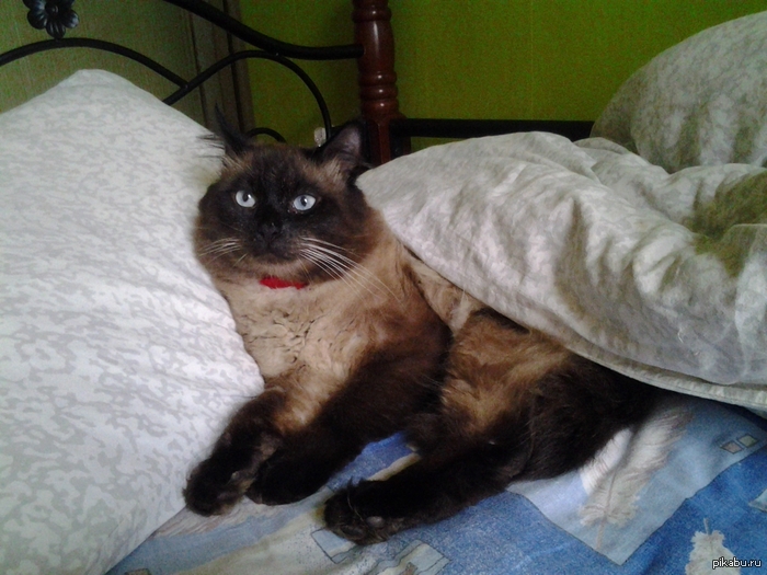 ������ ����� � �������, � ���...