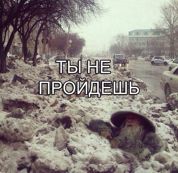 В топку | Пикабу