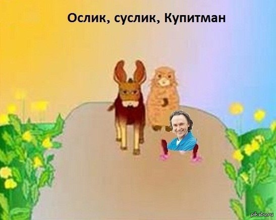 Суслик паукан и мокренькая. Ослик суслик. Ослик суслик паукан. Ослик суслик паукан и мокренькая кисонька. Ослик суслик мемы.