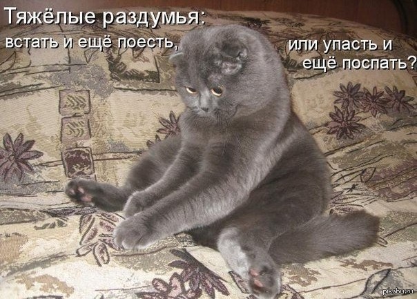 Осень,однако..