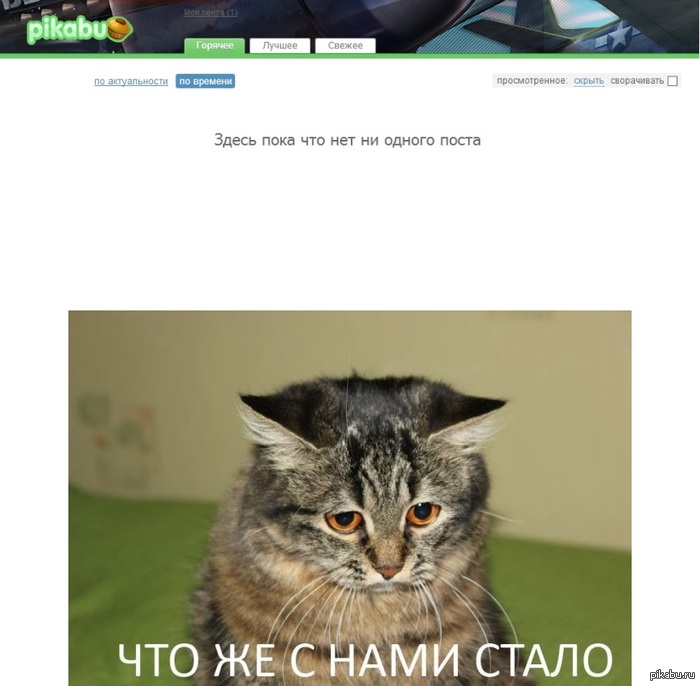 Когда на Пикабу нет ни одного поста