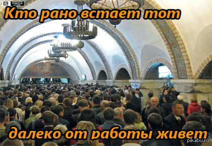 мудрость | Пикабу