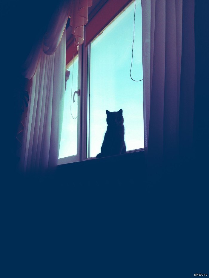 ������� ���� ����� ���� ))