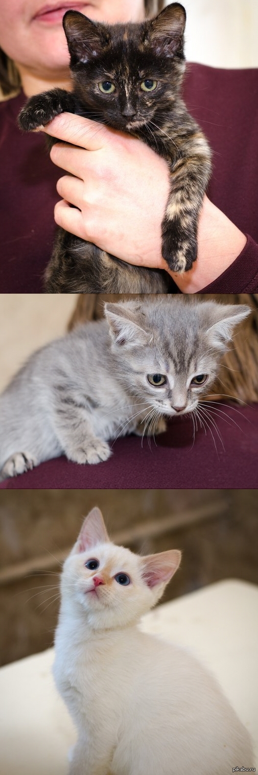 ���� �����, ������. �������� ����� ���!(���� ��� ������� ������)