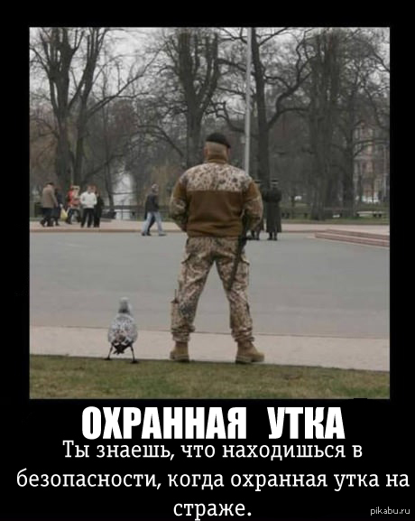 ���� ���, ��� ����� �� ����� ��������� ������.