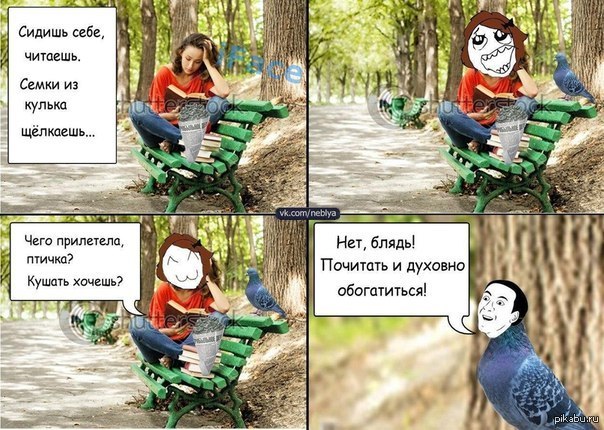 птичка) | Пикабу
