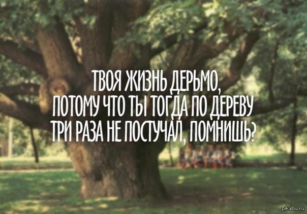 ������ � ����