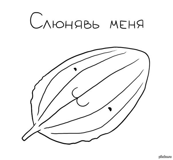 � �����, ������ ��� �����!