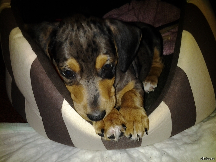 �������� �� ��, ��� ��������