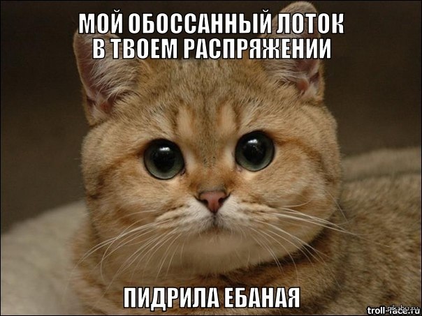 ���� �������. <3 �� =)