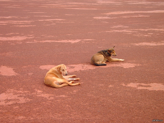 �� ������� ������� ����� ����