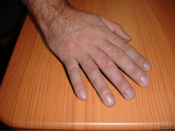 ����� �������� � �����������, ��� ������� ���� �������� ��������..