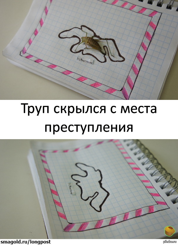 X-Files | Пикабу