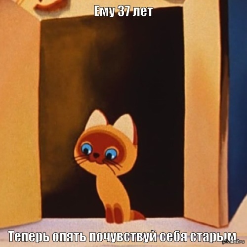 Котёнок Гав.