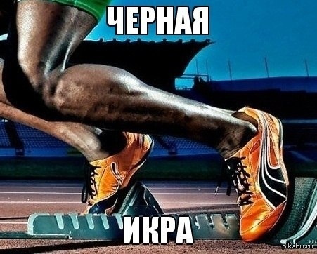 Икра | Пикабу