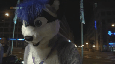 Еноты тоже не промах!