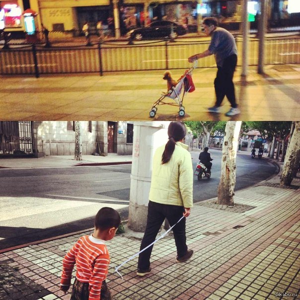 ������ vs ����