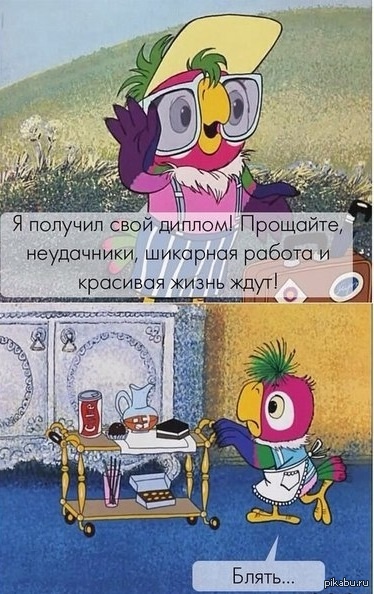 К слову о дипломах и планах.