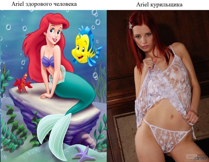 Ariel          )