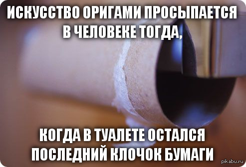 Тот самый момент... - Туалетная бумага, Моё, Тот самый момент, Оригами