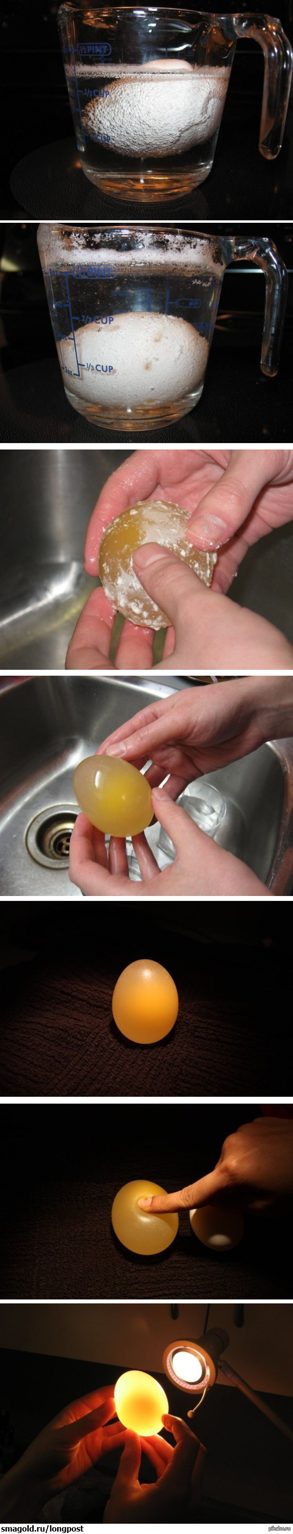 What happens if you put an egg in vinegar - Longpost, Experiment, Experience, Eggs, Vinegar, Jelly