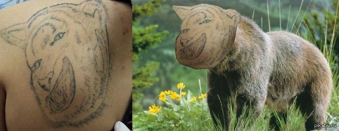 �� ����� ���