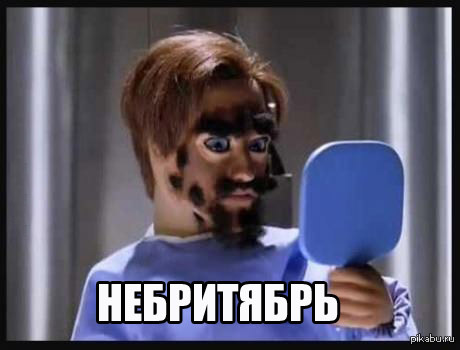 ����������