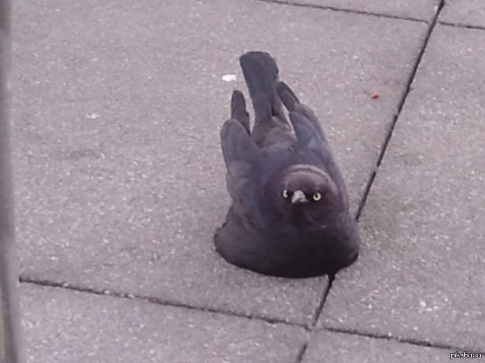   ,    ,     ... 