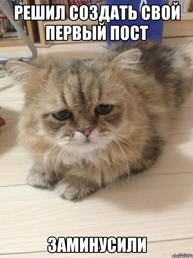   : 