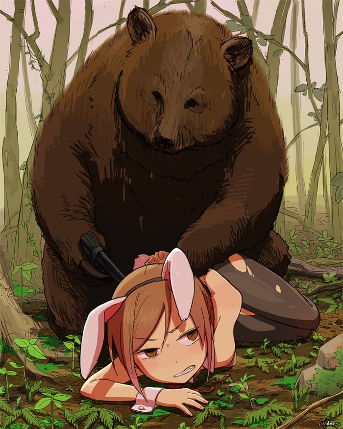   :   . 