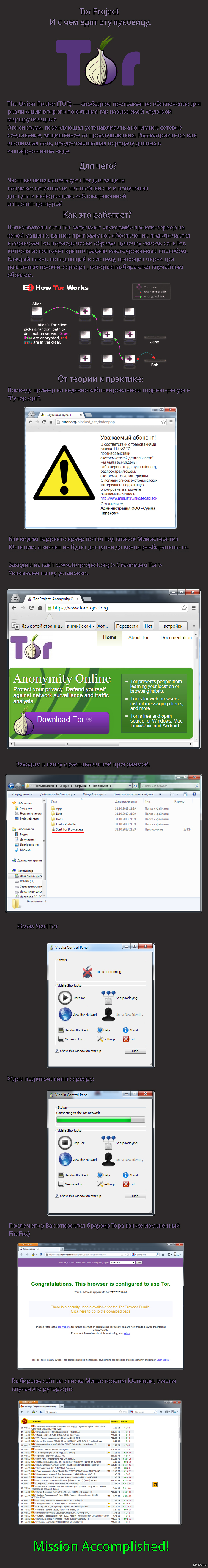 The Tor Project | Пикабу