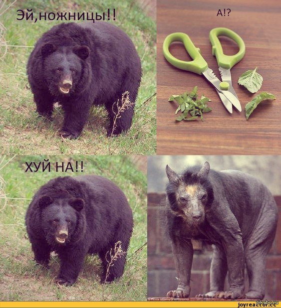 �� ������ � ���������