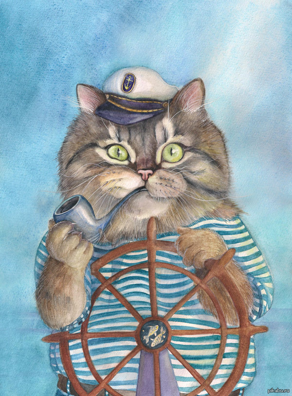Sea wolf - cat, Sailor