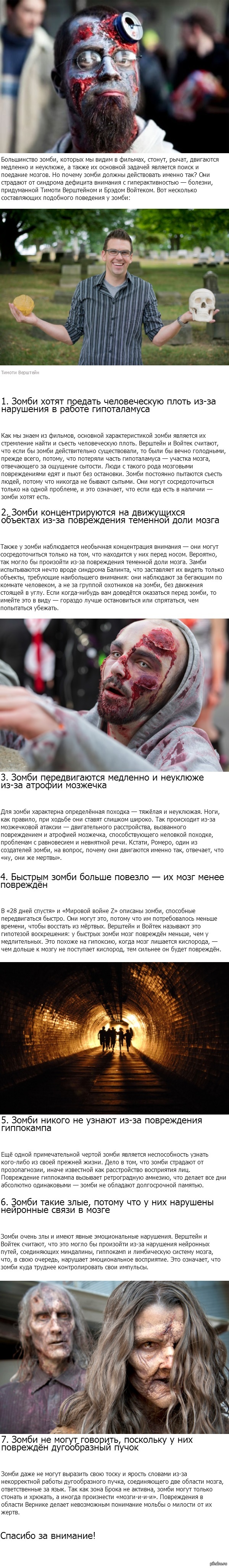 7 главных особенностей неврологии зомби