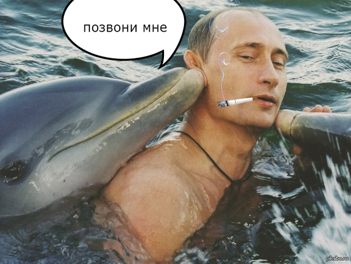 Без комментариев