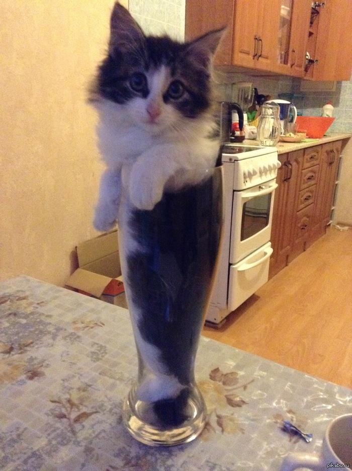 ������� �� ����� �����.