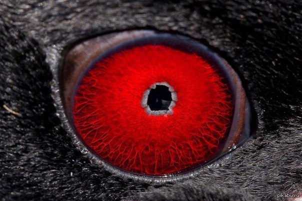 ���� �������������� ��������.