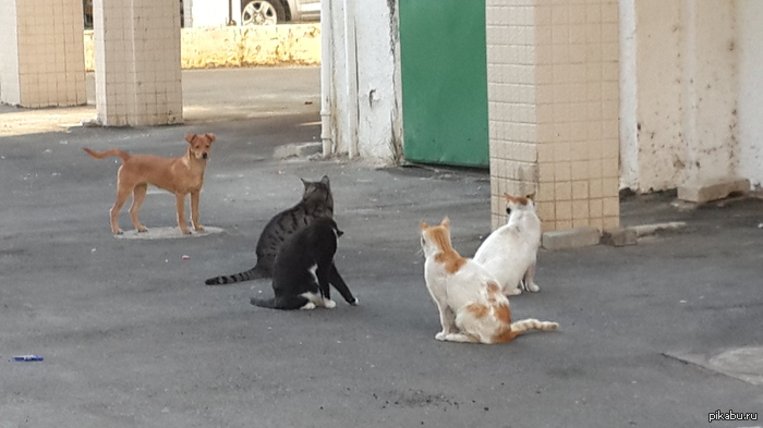 "������� ������?"