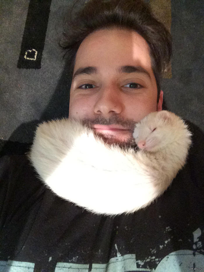 Теперь главное - не шевелиться